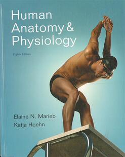特价清仓 英文原版进口 Human Anatomy & Physiology Eighth Edition 人体解剖学与生理学 第八版
