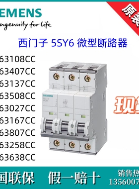 5SY63108/3407/3137/3508/3027/3167/3807/3258CC/363-8CC西门子