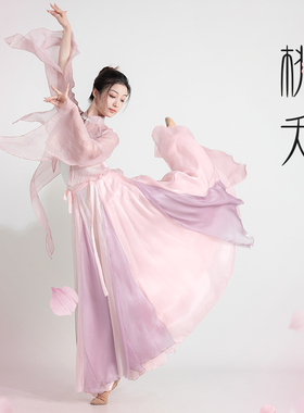 古典舞纱衣纱裙套装飘逸大摆裙粉紫色仙气剧目表演服中国舞舞蹈服