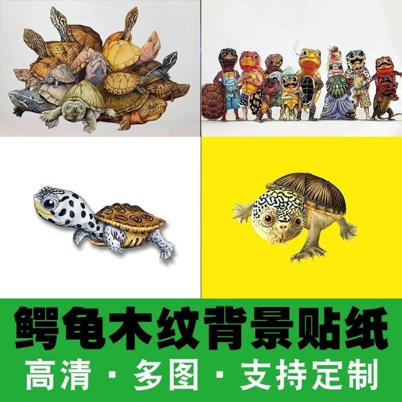 鱼缸背景七彩神仙鱼白色鱼缸高清