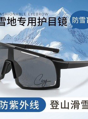登雪山护目镜雪镜专业滑雪眼镜登山专用防风防紫外线防雪盲墨镜