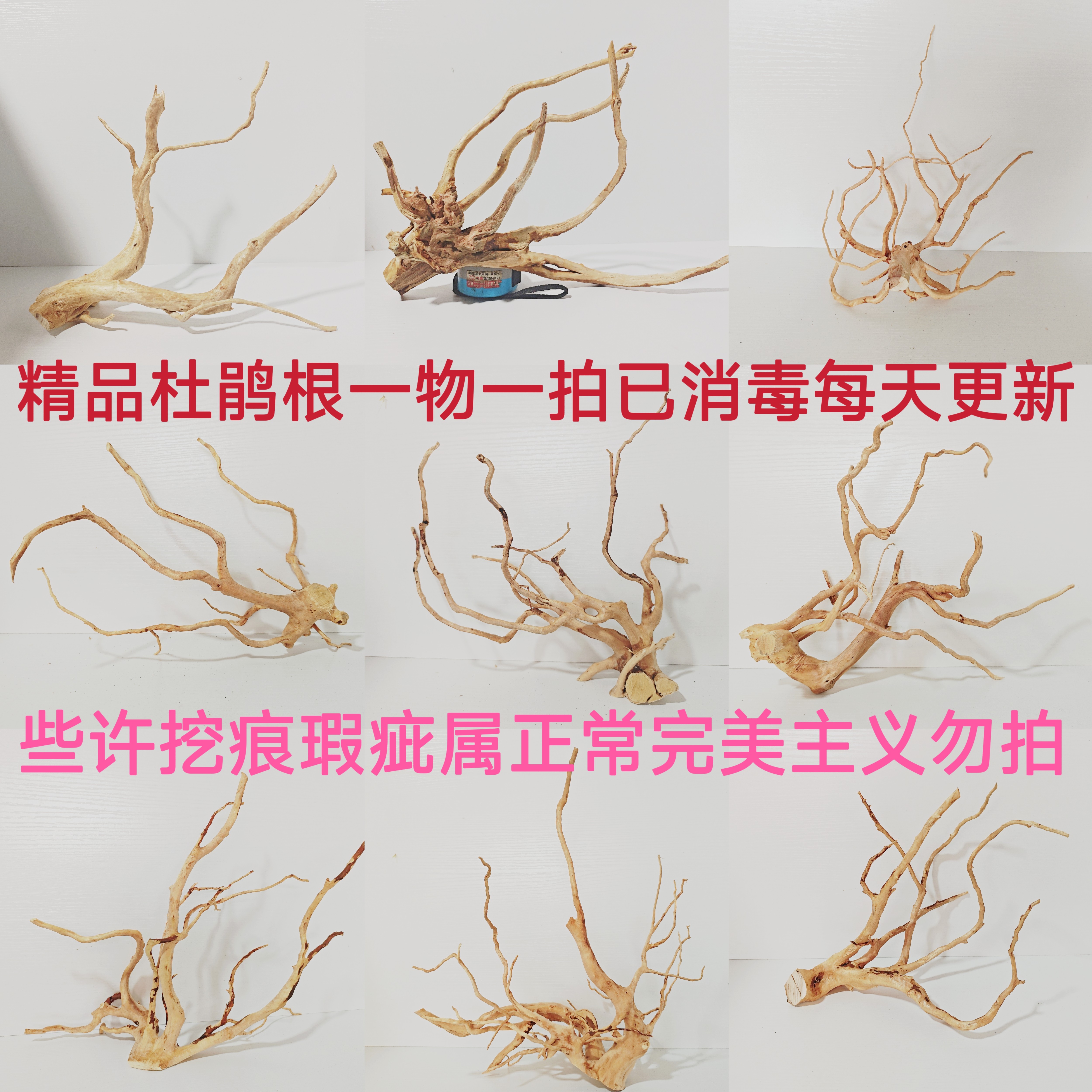 精品杜鹃根一木成景枝条沉木造景鱼缸水草缸雨林缸南美缸造景杜鹃图片