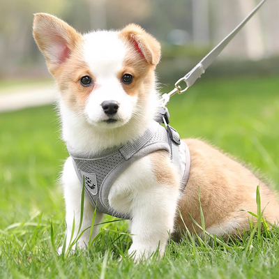 背心式牵引绳猫狗通用防挣脱