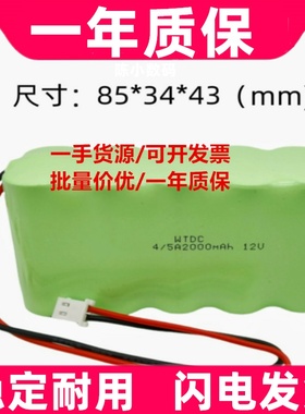 适用斯密斯双道微量注射泵电池12V NI-MH 4/5A2000mAh 12V原装