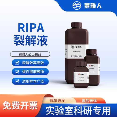 RIPA裂解液 强/弱型 细胞组织裂解 WB 免疫沉淀 IP 蛋白裂解试剂