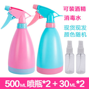 富贵竹绿萝分装瓶喷瓶喷壶补水细雾喷水瓶空瓶可装酒精消毒清洁瓶