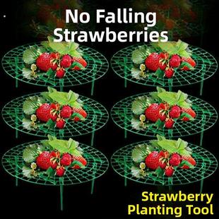 家用草莓种植支架支架防腐防倒伏草莓支架架园艺草莓托盘架神器