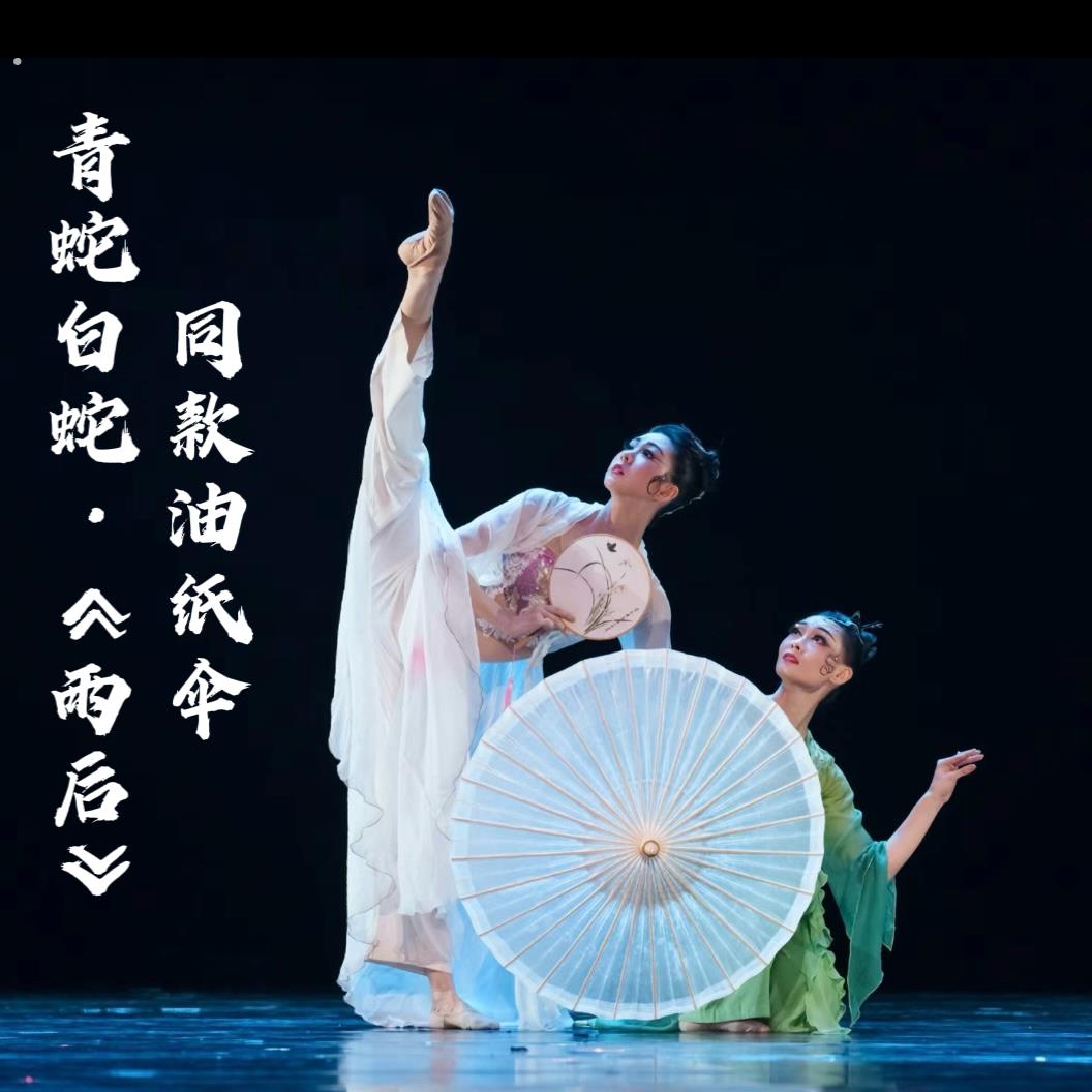 青蛇白蛇雨后古典双人舞蹈同款油纸伞舞伞道具表演古风晴雨两用伞