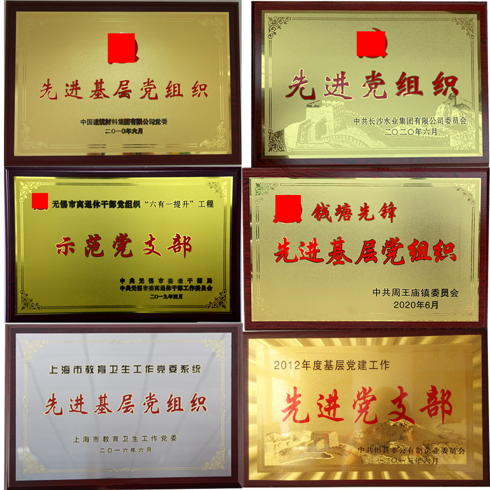 优秀党支部铜牌不锈钢堆金箔沙金牌匾先进基层党组织木托奖牌定制