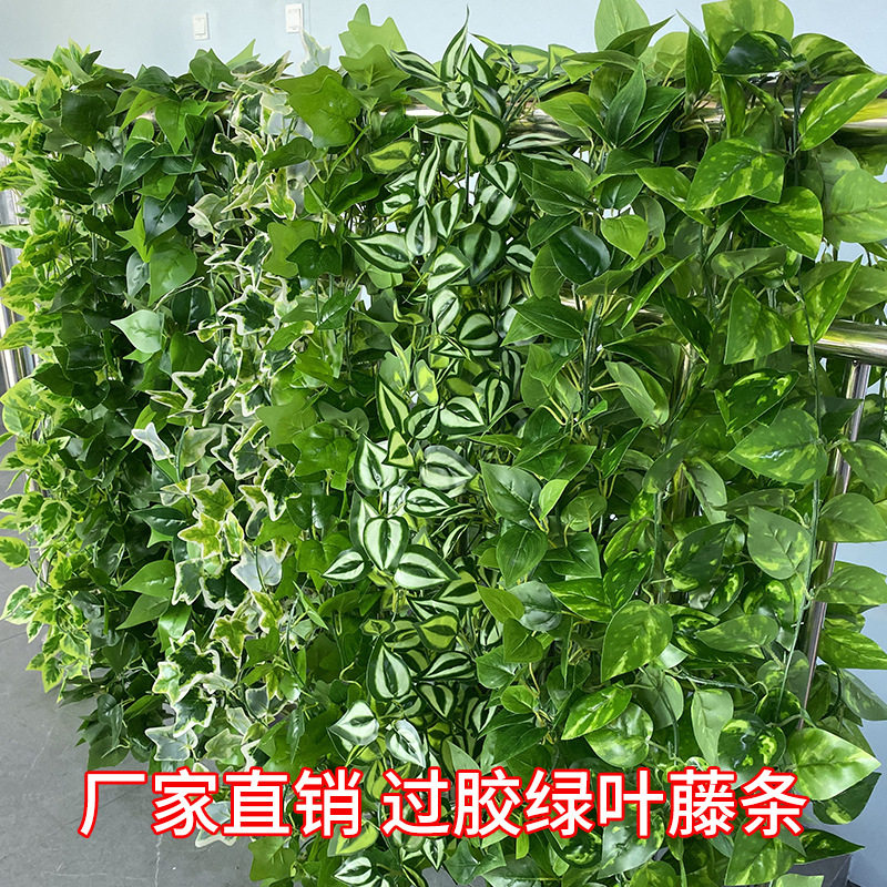仿真过胶绿萝葡萄叶子装