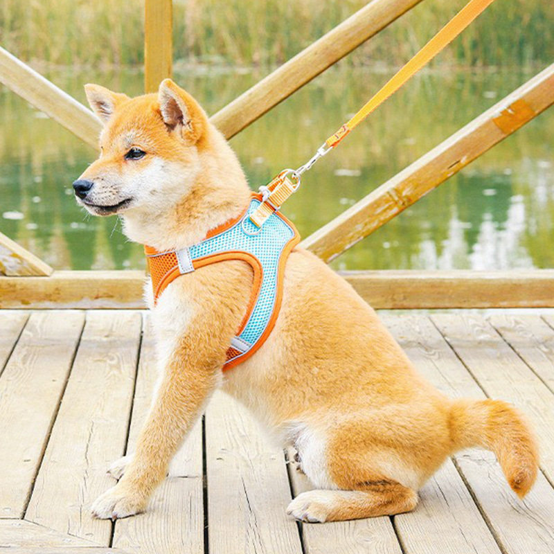 背心式狗狗胸背带夏尼龙