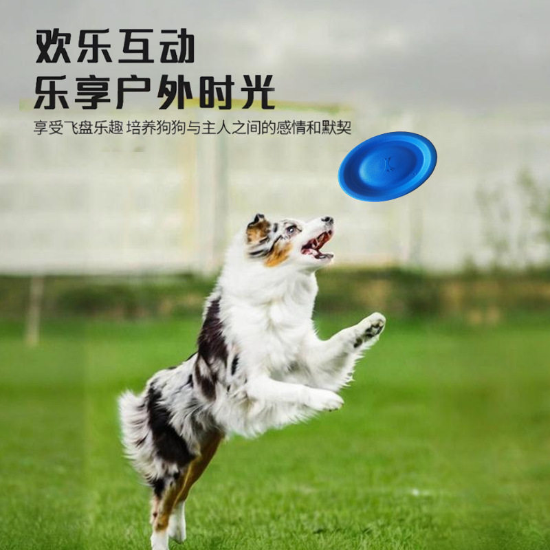 狗狗玩具EVA训练软飞盘中