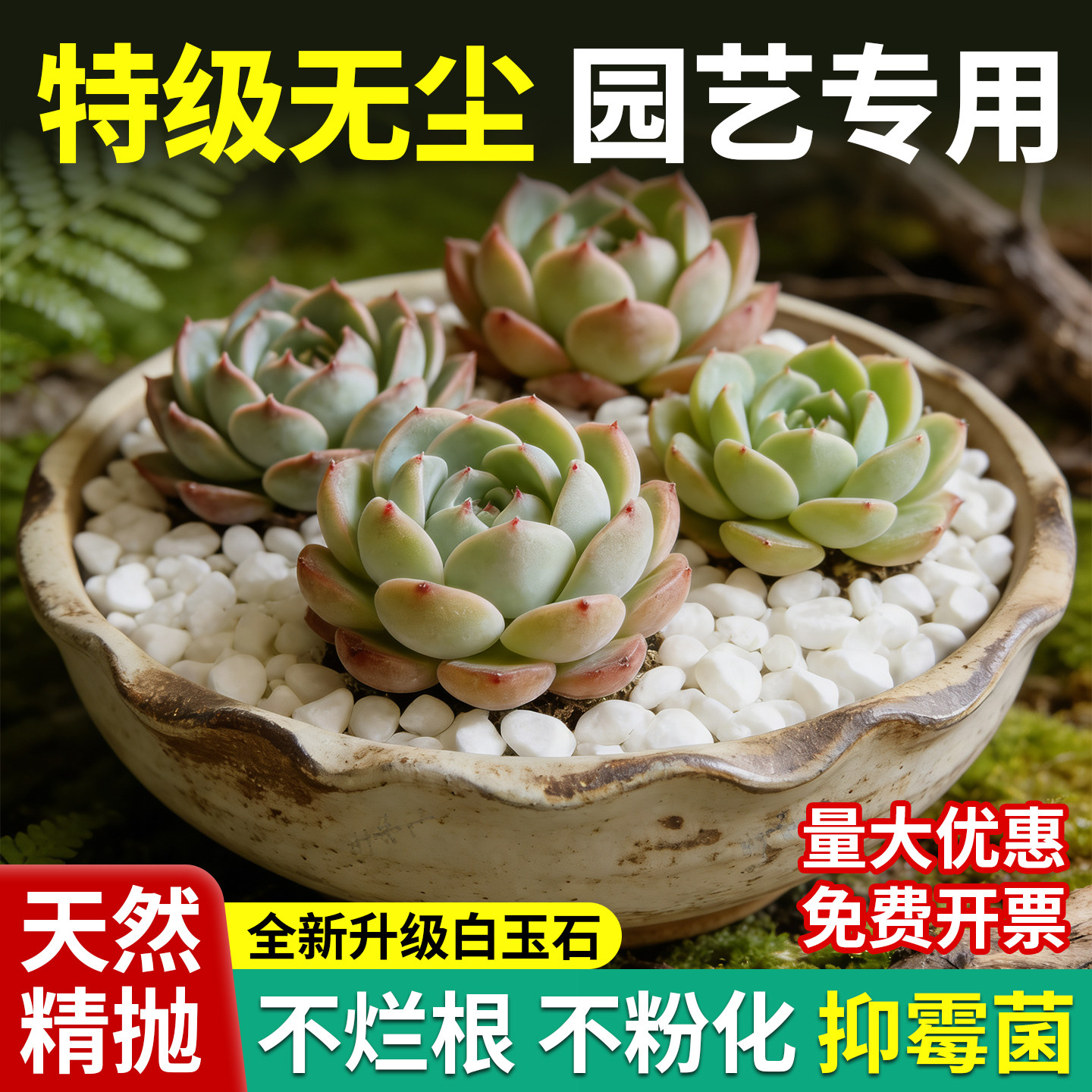 天然鹅卵石小石头郁金香水培石子多肉铺面石鱼缸造景无尘小白石子