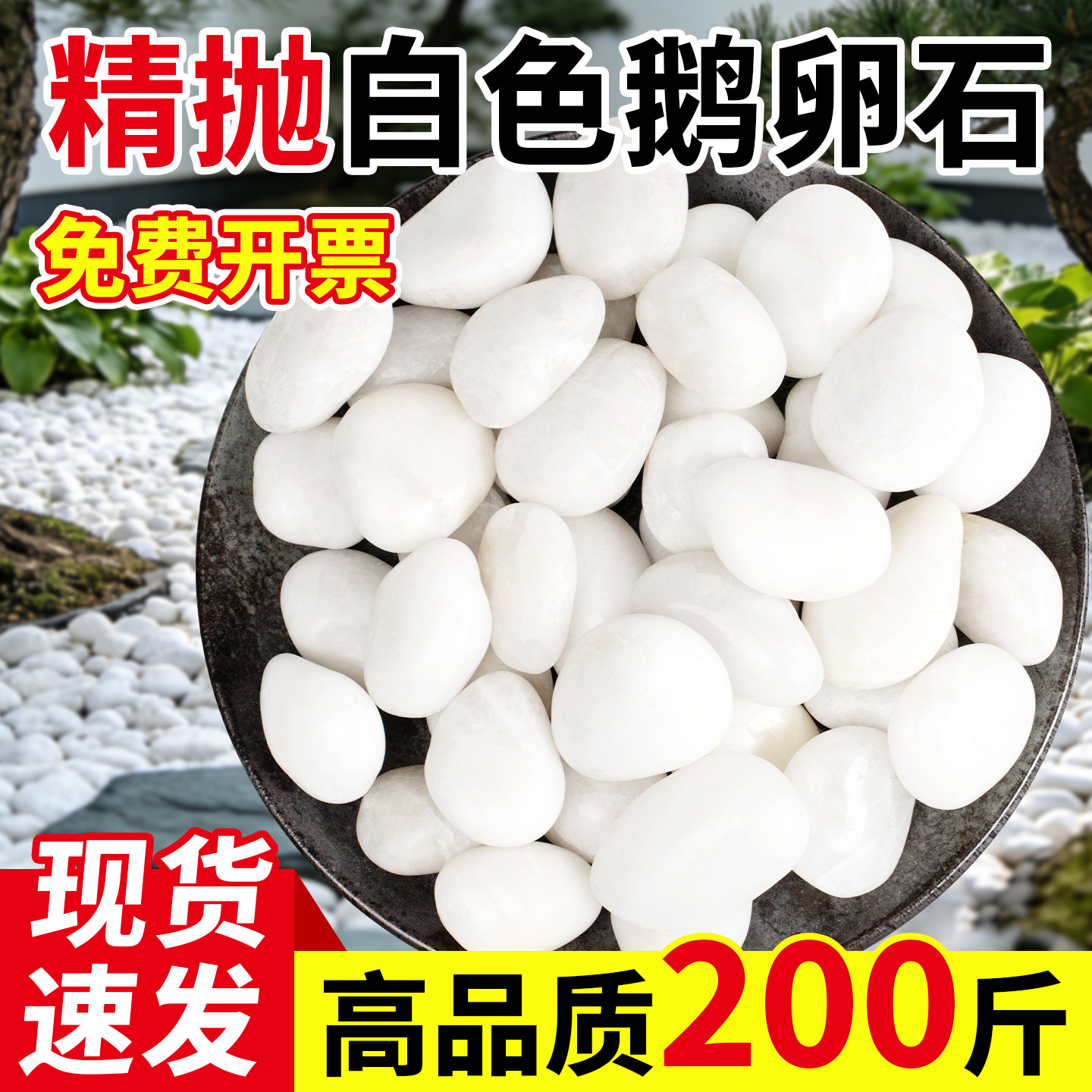 200斤白色鹅卵石庭院铺地铺路花园造景装饰小白石子园林景观石子