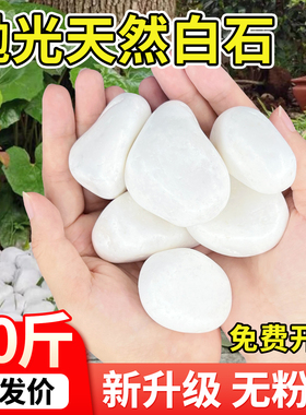 抛光白色石子石头鹅卵石庭院铺路铺地小白石头造景景观打蜡白石子