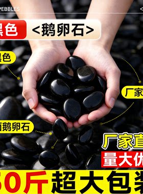 黑色鹅卵石庭院铺路铺地黑石头