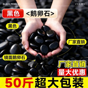 黑色鹅卵石庭院铺路铺地黑石头