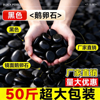 黑色鹅卵石庭院铺路铺地黑石头
