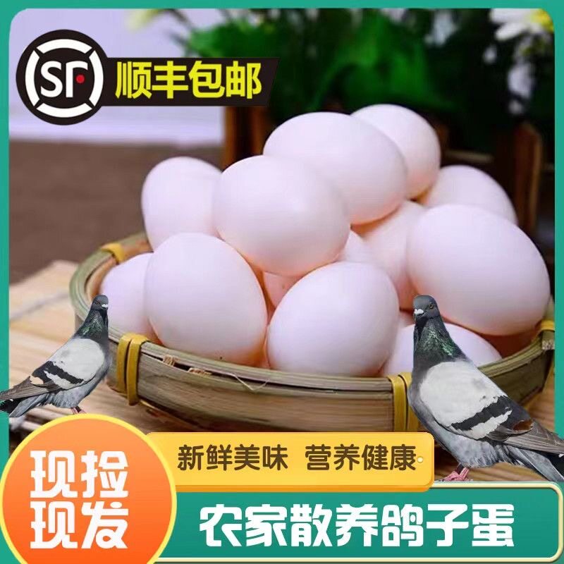 【顺丰】假一赔十鸽子蛋新鲜五谷杂粮喂养信鸽蛋孕妇宝宝辅食