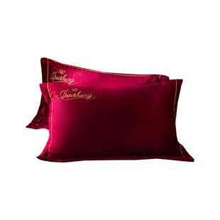 枕芯十枕套套装一对装珊瑚绒灰色简约 北欧48x74cm枕头套牛奶绒男