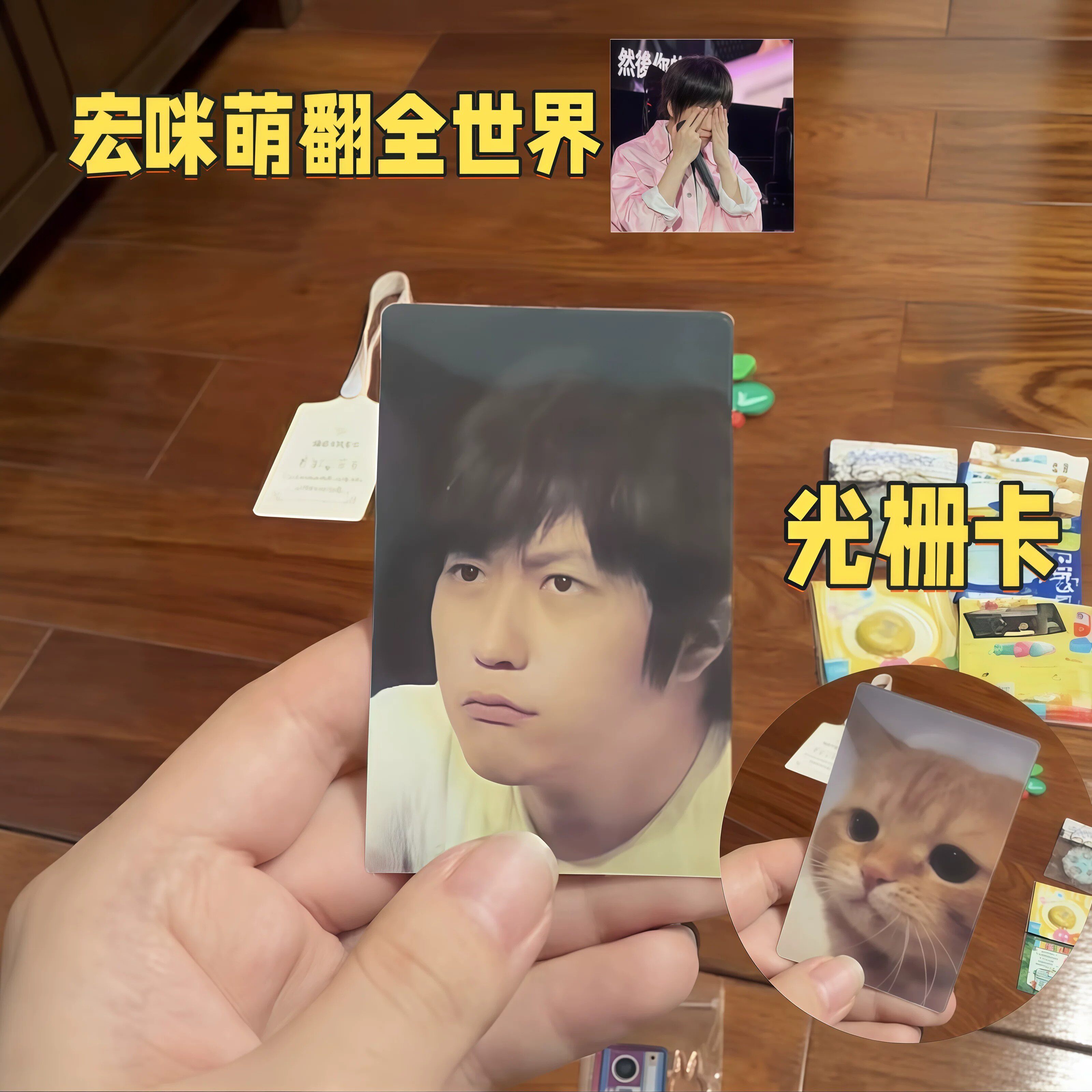 【宏咪萌翻全世界】陈信宏表情包光栅卡3d动态猫咪小卡五月天物料