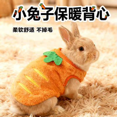 侏儒幼兔可爱冬装背心过冬神器