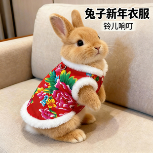 小兔子新年衣服保暖专用东北大红棉袄宠物侏儒垂耳兔过年装饰用品