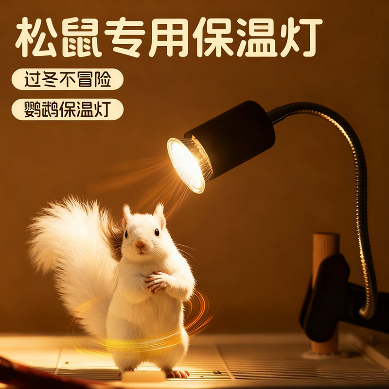 松鼠专用保温灯防寒冷冬天荷兰猪花枝鼠仓鼠刺猬小鸡鸭子的保暖灯