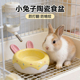 兔子陶瓷碗防啃咬专用食盆防打翻宠物荷兰猪侏儒兔刺猬食盒饲料碗