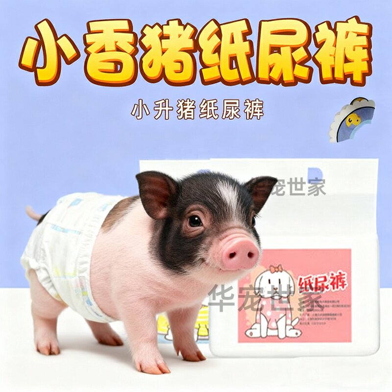 小香猪专用纸尿裤穿的尿不湿屁股兜防止乱拉尿神器接屎粪便包用品