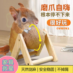 松鼠专用玩具解闷磨爪球磨牙指甲神器宠物荷兰猪花枝鼠磨爪子玩具