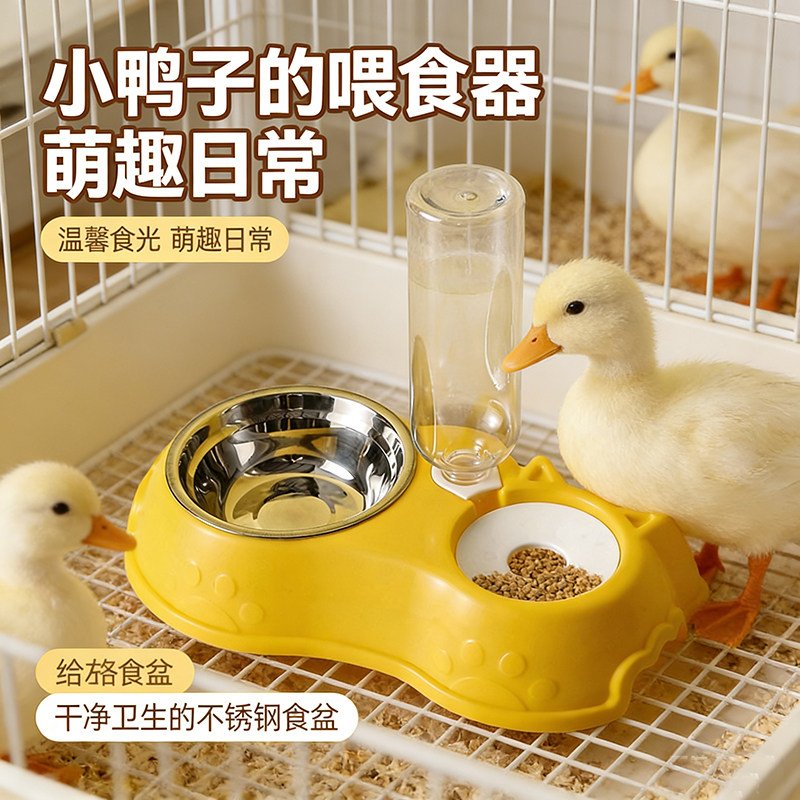 柯尔鸭喂食器自动饮水器小鸭子食盆吃饭的碗防打翻宠物小鸡的用品