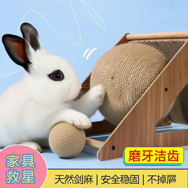 爪子土拨鼠侏儒垂耳兔玩的球