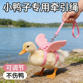 柯尔鸭专用牵引绳溜小鸭子小鸡外出 衣服用品 绳子可爱遛鸡绳子