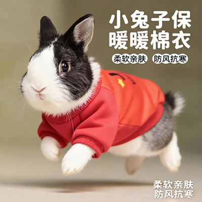 宠物侏儒兔兔专用小衣服用品