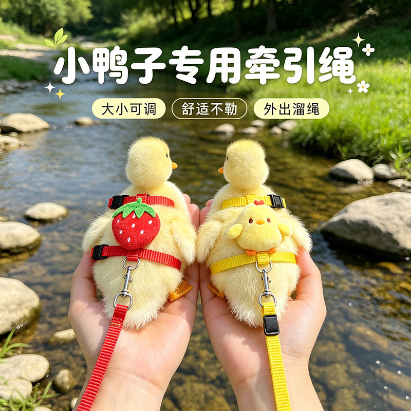 小鸭子专用牵引绳可调节可爱造型舒适不勒外出溜柯尔鸭的绳子用品
