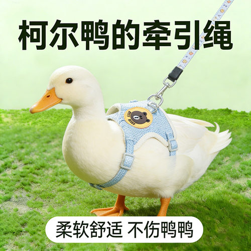 柯尔鸭的牵引绳溜宠物小鸭子可爱衣服可调节宠物小鸡穿的绳子用品