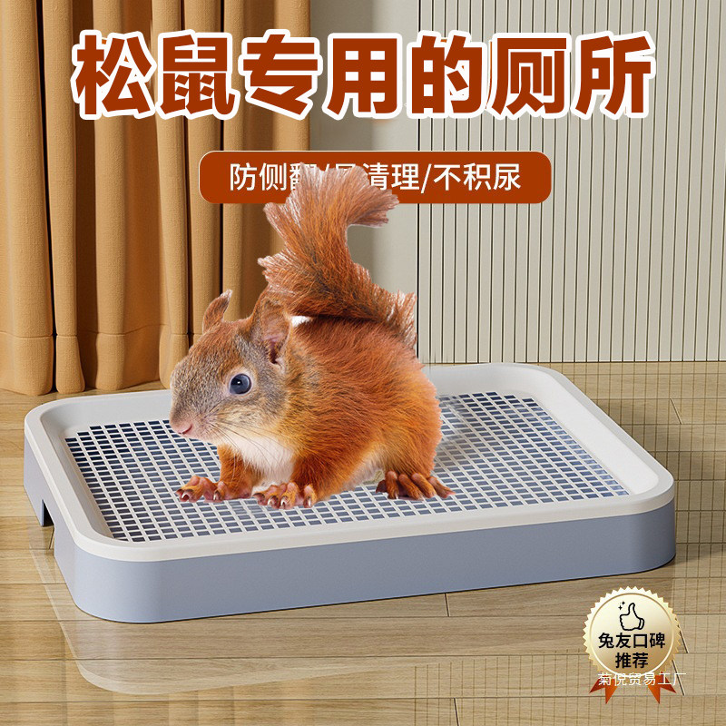 松鼠专用厕所拉屎尿粪便盆宠物荷兰猪土拨鼠刺猬上厕所神器尿盆子