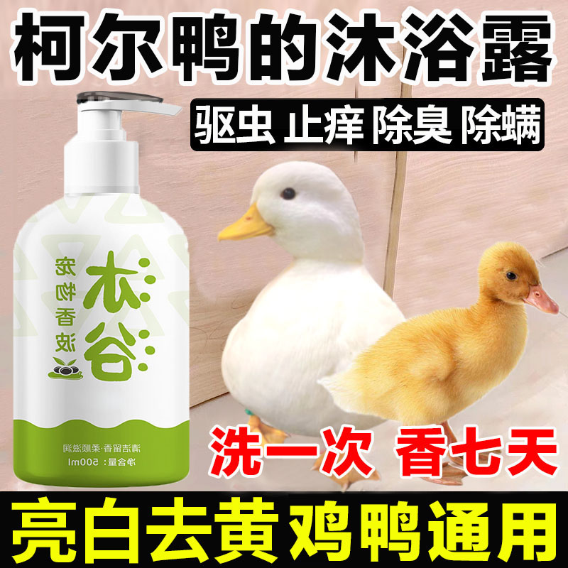 柯尔鸭专用沐浴露洗澡除臭神器宠物小鸡鸭子屎尿粪便清洁浴液用品
