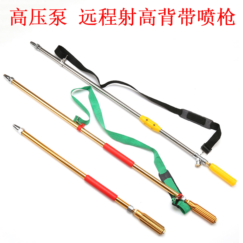 高压打药泵果树带背带喷雾枪高压远程喷枪三缸柱塞泵远射射高农用,鲜花速递/花卉仿真/绿植园艺,水枪,淘宝优惠券,粉丝福利购,淘宝优惠卷