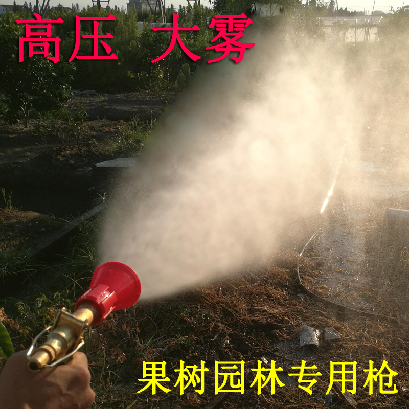 打药机喷枪 高压喷雾枪果树园林意大利可调雾化手压枪水枪农用