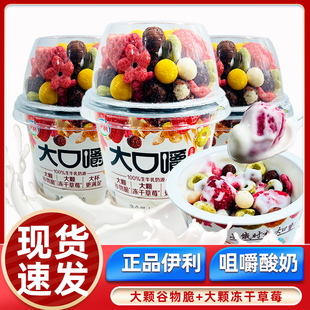 伊利大口嚼搅拌酸奶大谷物脆冻干草莓谷物酸奶便携杯装180g发酵乳