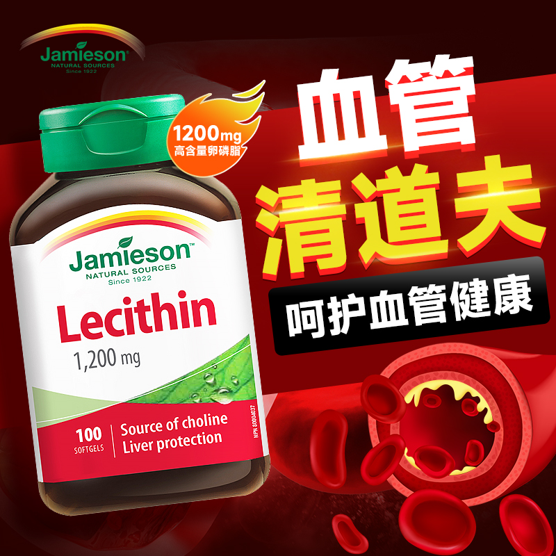 lecithin大豆卵磷脂软胶囊