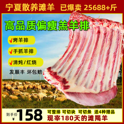 默三天宁夏滩羊肉羊排新鲜