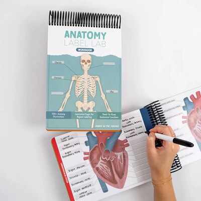 跨境新品Anatomy Label Lab Workbook解剖学线圈本标签工作簿