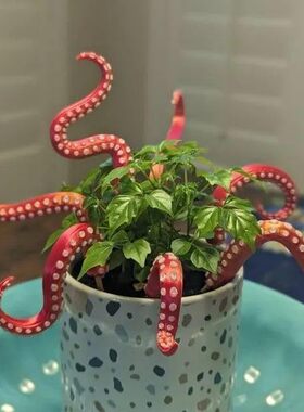 跨境新品Set of 7 Sea monster Tentacles海怪章鱼触手7件套