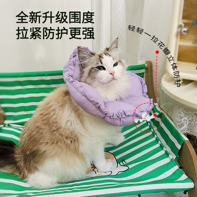 伊丽莎白圈猫项圈幼猫防舔防咬防水脖圈猫咪绝育小型犬保护软头套