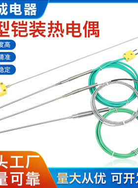 热电偶K型WRNK191分度号T/E/J/Pt100铠装热电阻171温度传感器探头