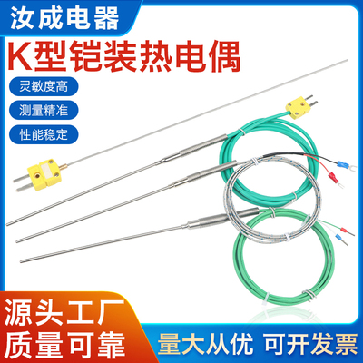 热电偶K型WRNK191分度号T/E/J/Pt100铠装热电阻171温度传感器探头