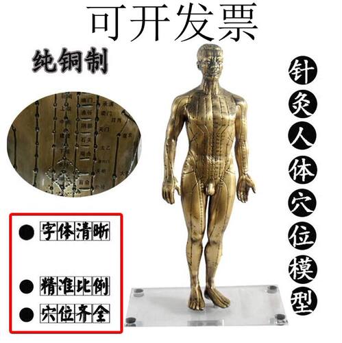 纯铜清晰经络通针灸铜人中医师傅用人体穴位